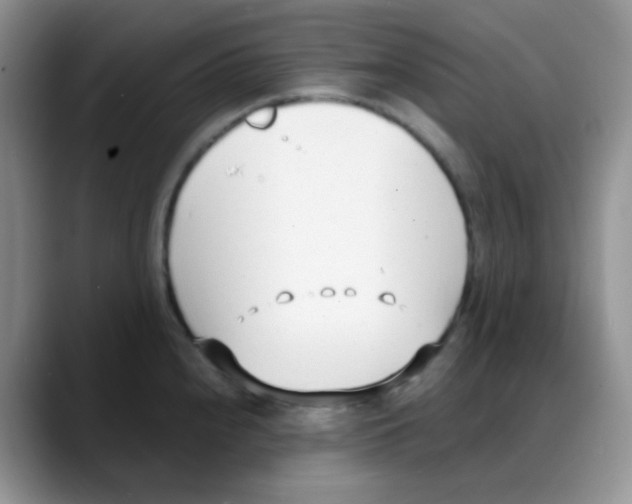 X0000088051240200706081623