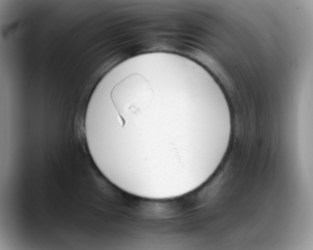 X0000088051241200706081623