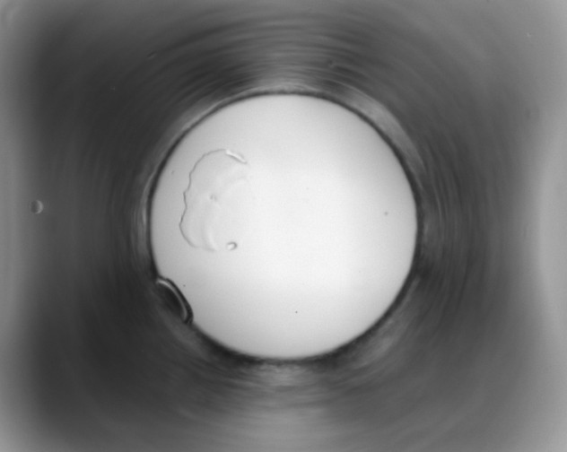 X0000088051242200706081623