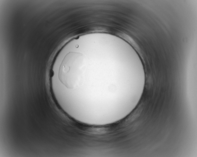 X0000088051243200706081623