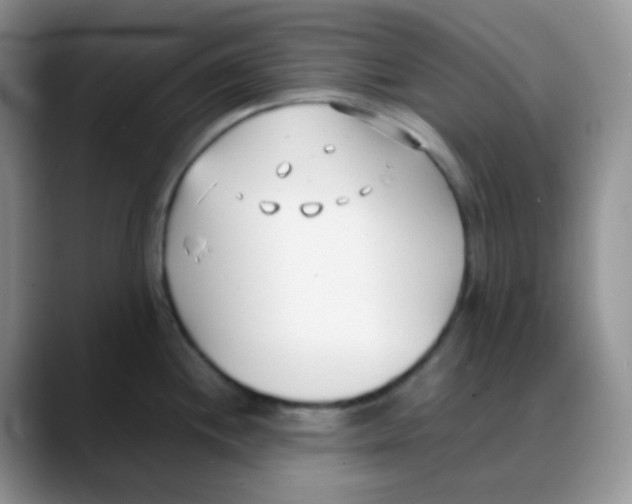 X0000088051244200706081623