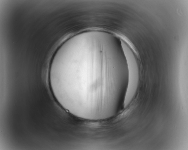 X0000088051245200706081623