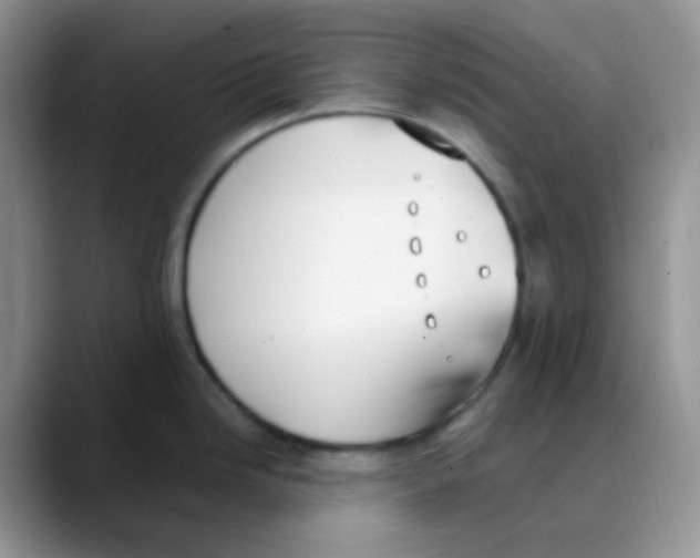 X0000088051246200706081623