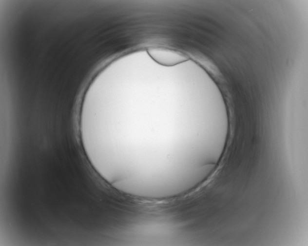 X0000088051248200706081623