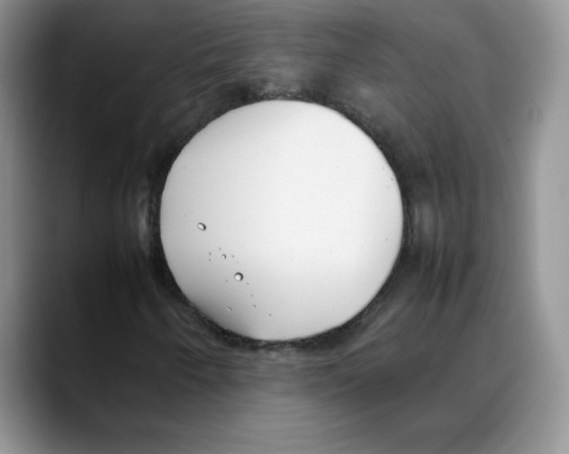 X0000088051250200706081622