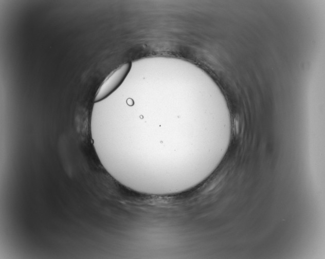 X0000088051251200706081622