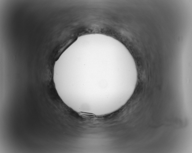X0000088051253200706081622