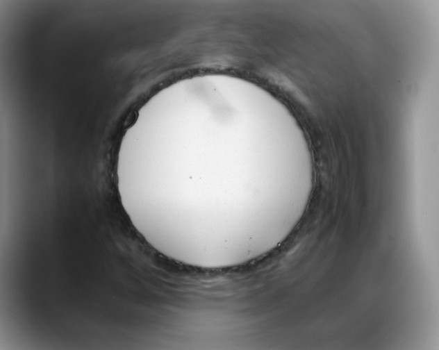 X0000088051256200706081622
