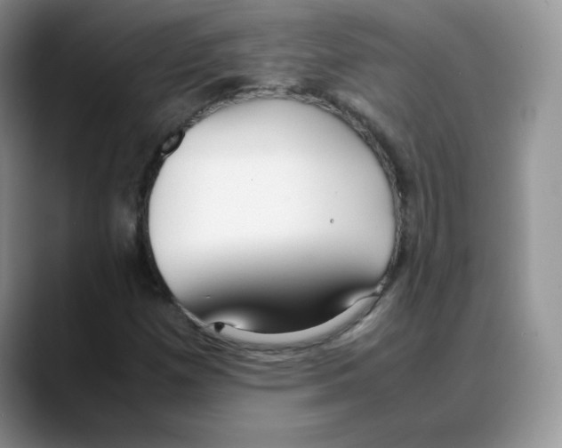 X0000088051257200706081622