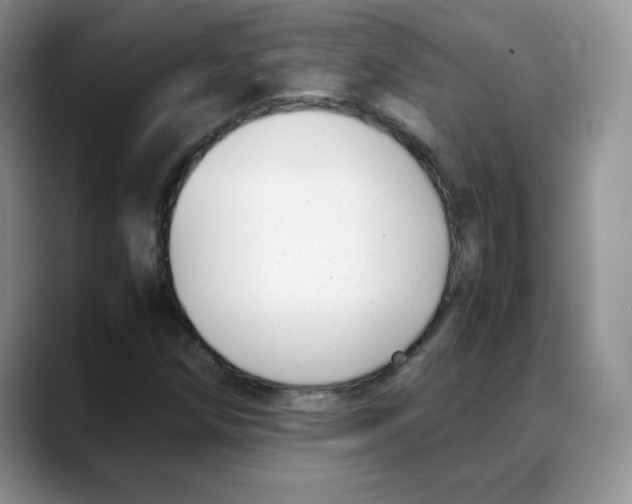 X0000088051258200706081622