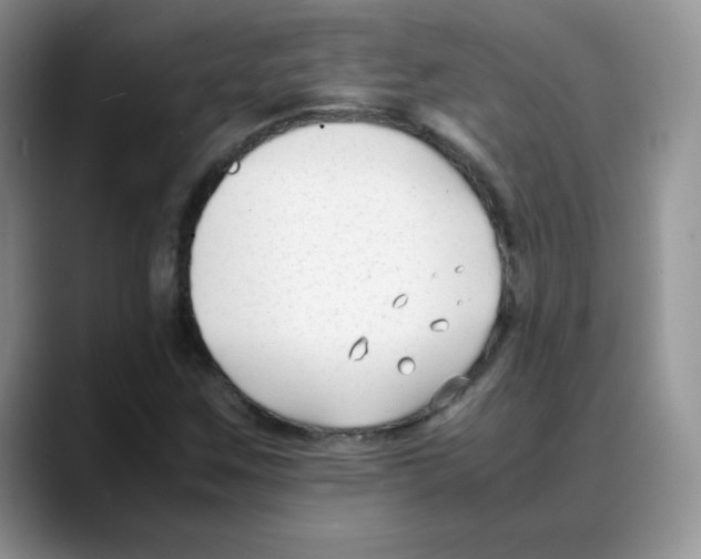 X0000088051259200706081622