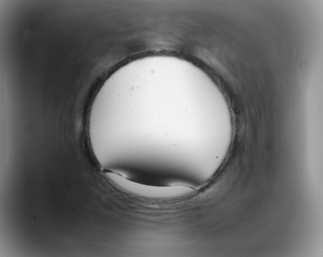 X0000088051261200706081622