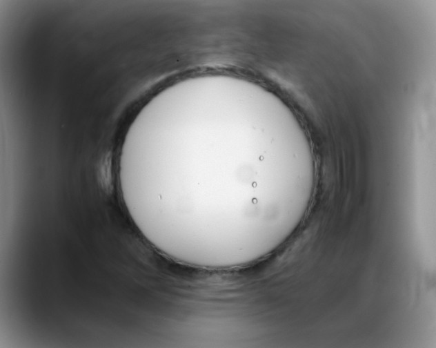 X0000088051262200706081622