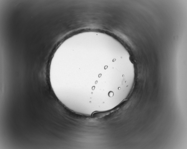 X0000088051264200706081622