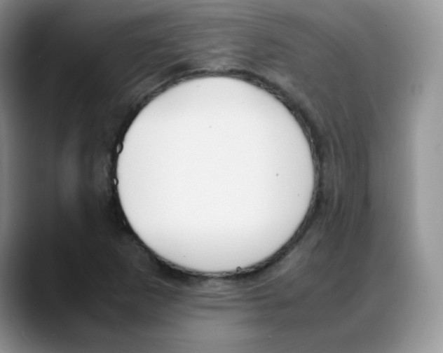 X0000088051265200706081622