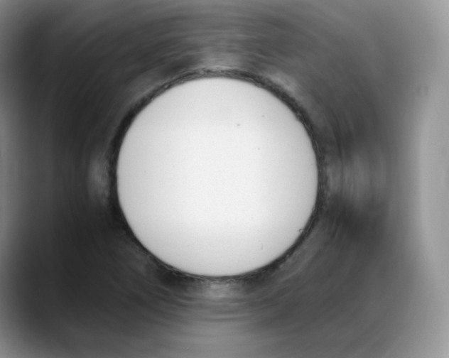 X0000088051266200706081622