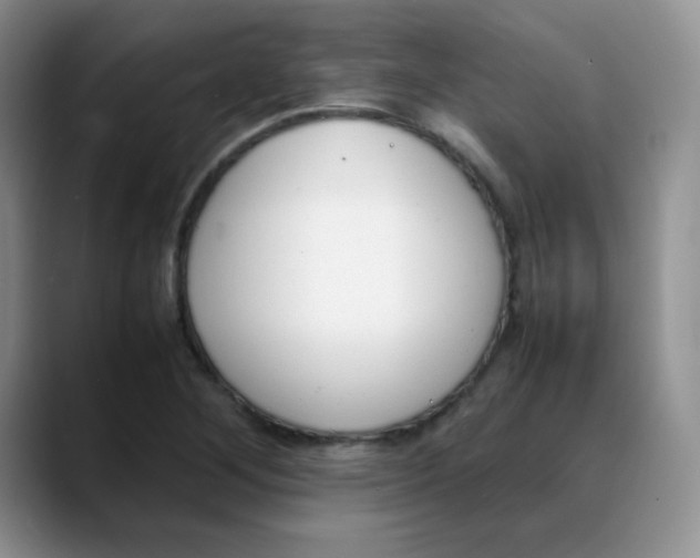X0000088051268200706081622
