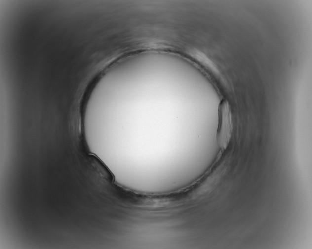 X0000088051269200706081622