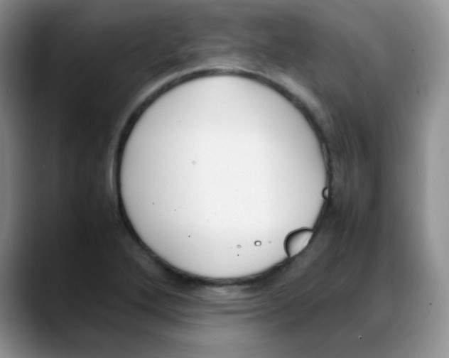 X0000088051272200706081622