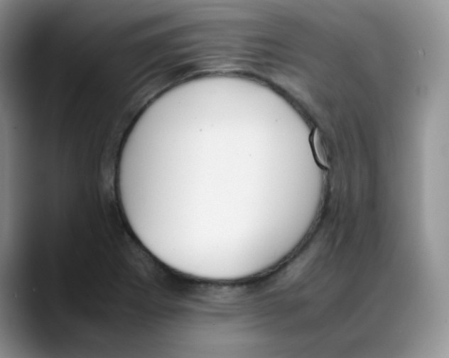 X0000088051273200706081622
