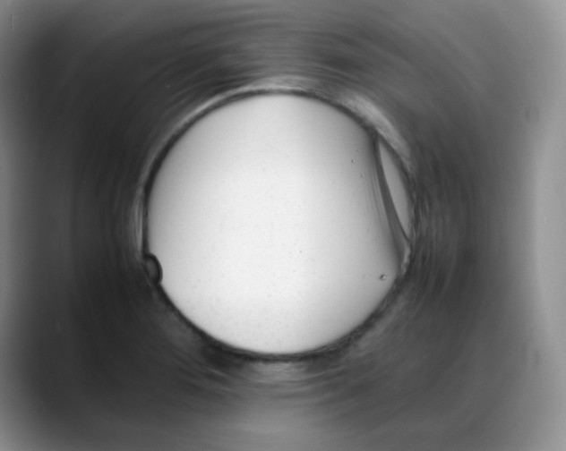 X0000088051276200706081622