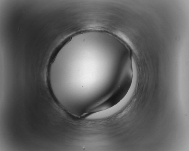 X0000088051277200706081622