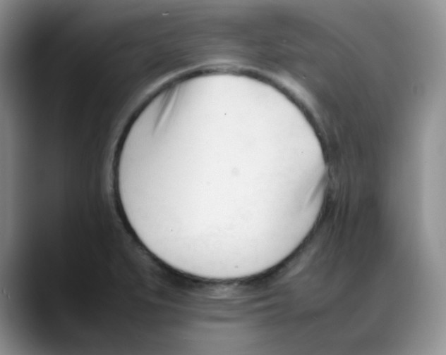 X0000088051279200706081622
