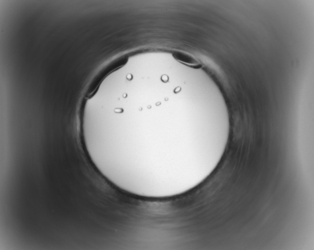 X0000088051280200706081622