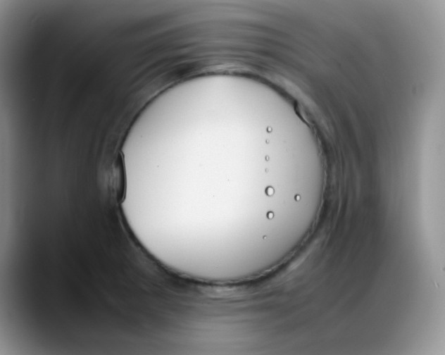 X0000088051281200706081622