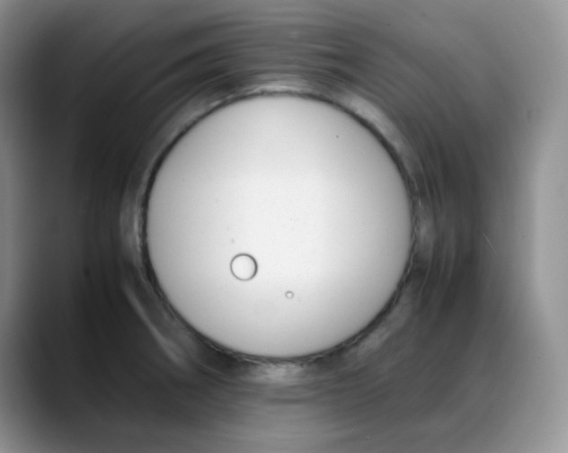 X0000088051282200706081622