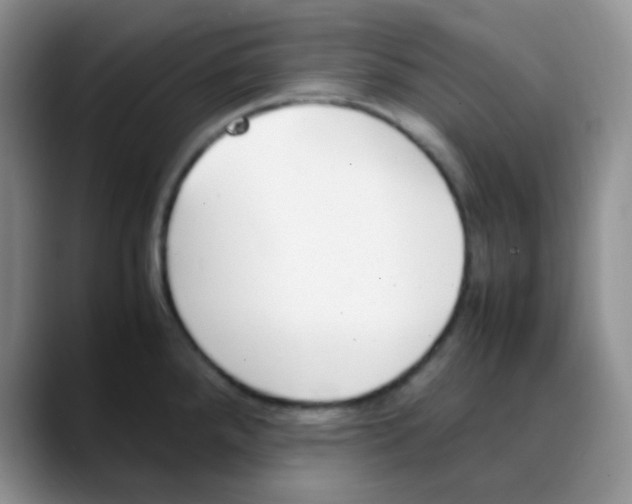 X0000088051288200706081622