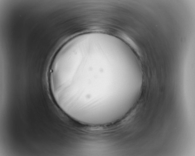 X0000088051291200706081622