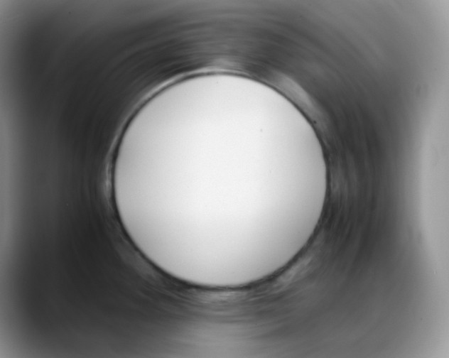 X0000088051292200706081622