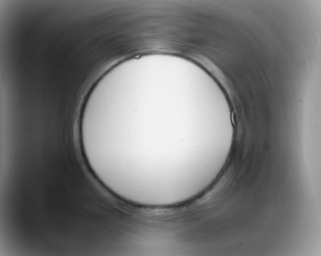 X0000088051293200706081622
