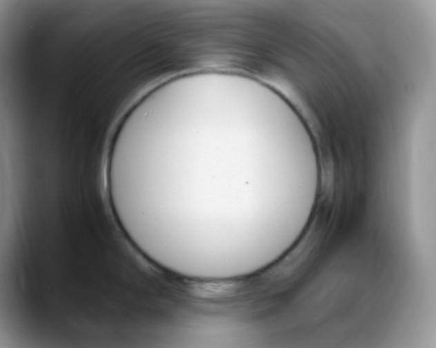 X0000088051294200706081622