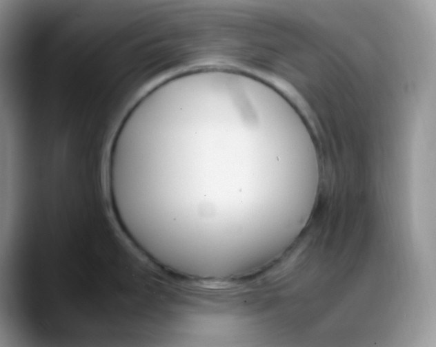 X0000088051295200706081622