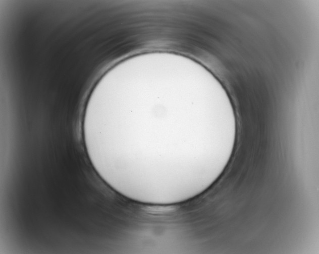 X0000088051296200706081622