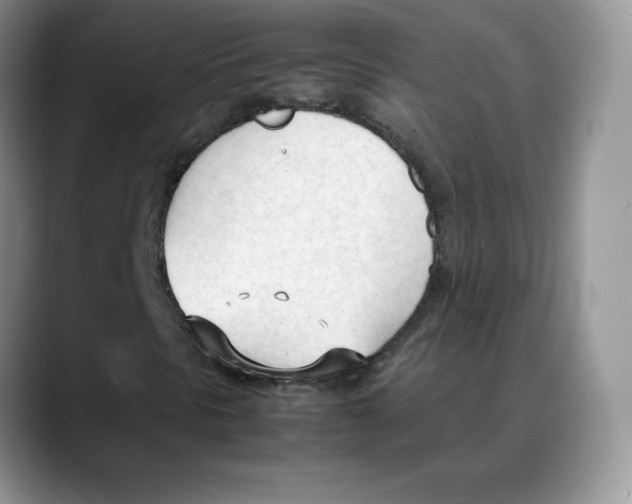 X0000088051297200706081621