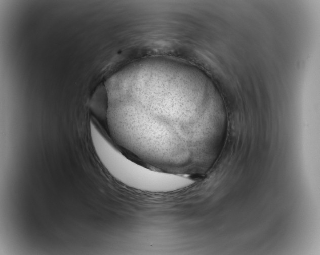 X0000088051298200706081621
