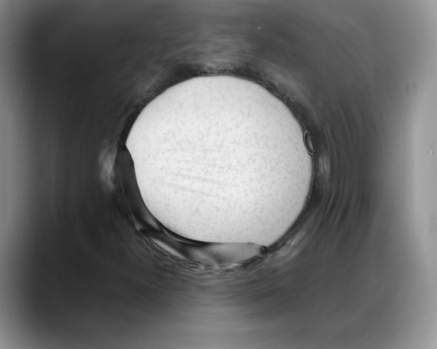 X0000088051300200706081621