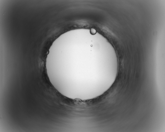 X0000088051302200706081621