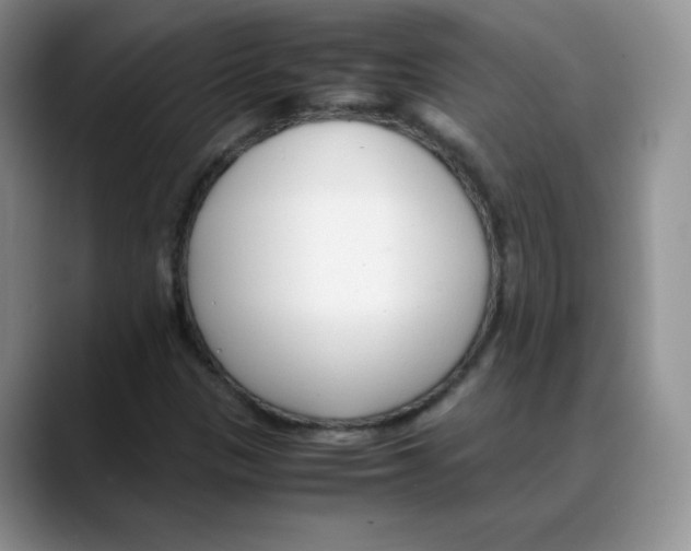 X0000088051305200706081621