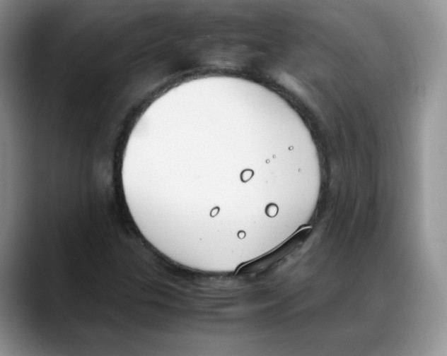 X0000088051307200706081621