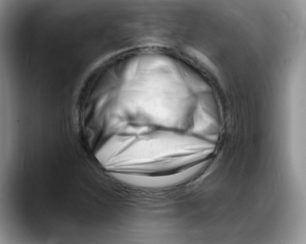 X0000088051310200706081621
