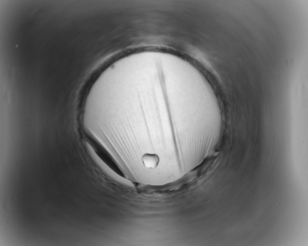 X0000088051312200706081621