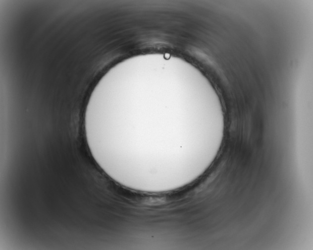 X0000088051313200706081621