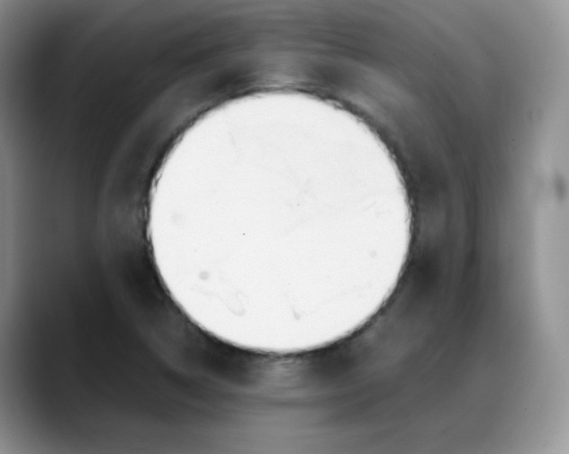 X0000088051314200706081621