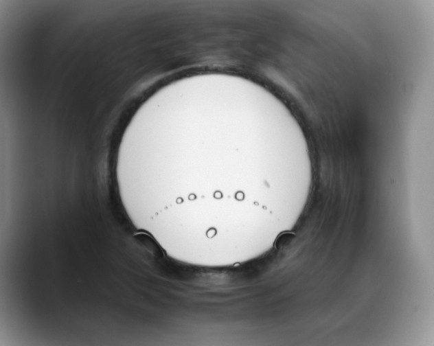 X0000088051315200706081621