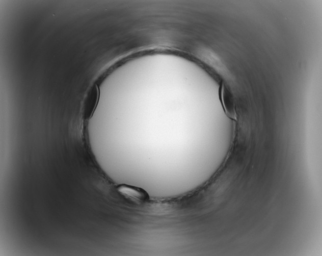 X0000088051316200706081621