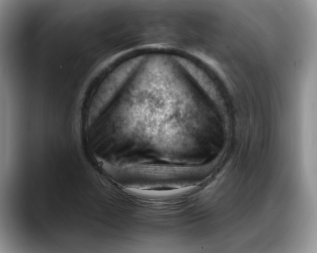 X0000088051319200706081621